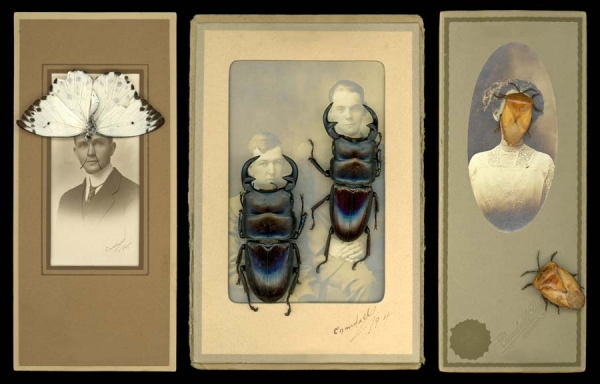 Photograph Andy Goodwin Family Portrait Bugs on One Eyeland